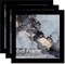 6x6 Picture Frame Sets of 3, Black Picture Frame for 6 x 6 Square Picture Poster Photo, Light Weight and High Transparent 6 by 6 Frame for Wall - 3 Pack/Black/6"x6"